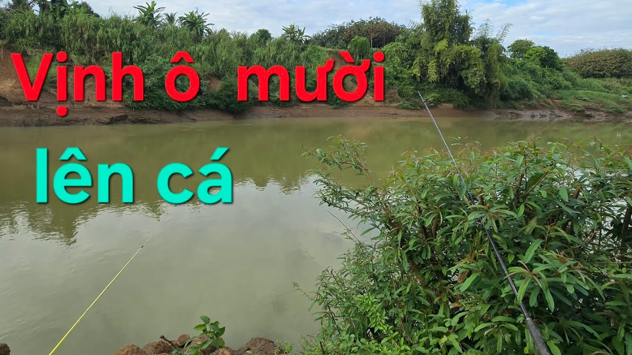 Câu  cá sông Bé Bãi  mới   mồi cám  lên cá phút cuối.