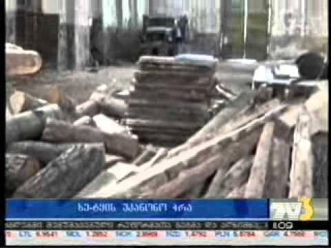 MOE: ხე-ტყის უკანონო მოპოვების, გადამუშავებისა და ტრანსპორტირების ფაქტები აჭარაში