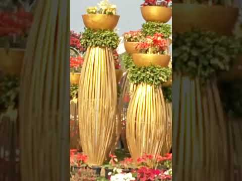 फुलो का बगीचा #viral #explore #garden #enjoy #love #flowershow #flowers