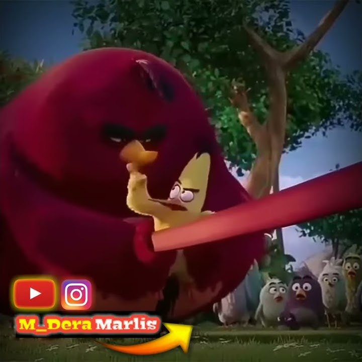 Story wa angry bird :')