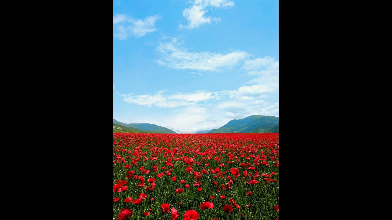 Moodoïd - Planète Tokyo (Com Truise Remix) (Sped Up & 432Hz)