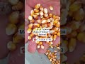 +99877-054-11-93.  #камазевро #агротехнологии #farming #сельскоехозяйство #agriculture #agro #farm