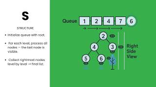 [Java] Binary Tree Right Side View - Leetcode 199 -- Illustrated! | Pattern Mastery