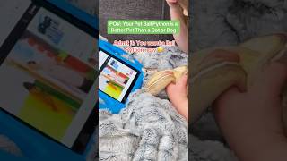 Celebrity POV: Your Ball Python is Your Best Friend 🥹 Net Worth