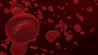 Red Blood Cells Video فيديو مونتاج معدل خلايا الدم الحمراء