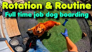 Self employed, full time job dog boarding. Rotation and Routine is key!