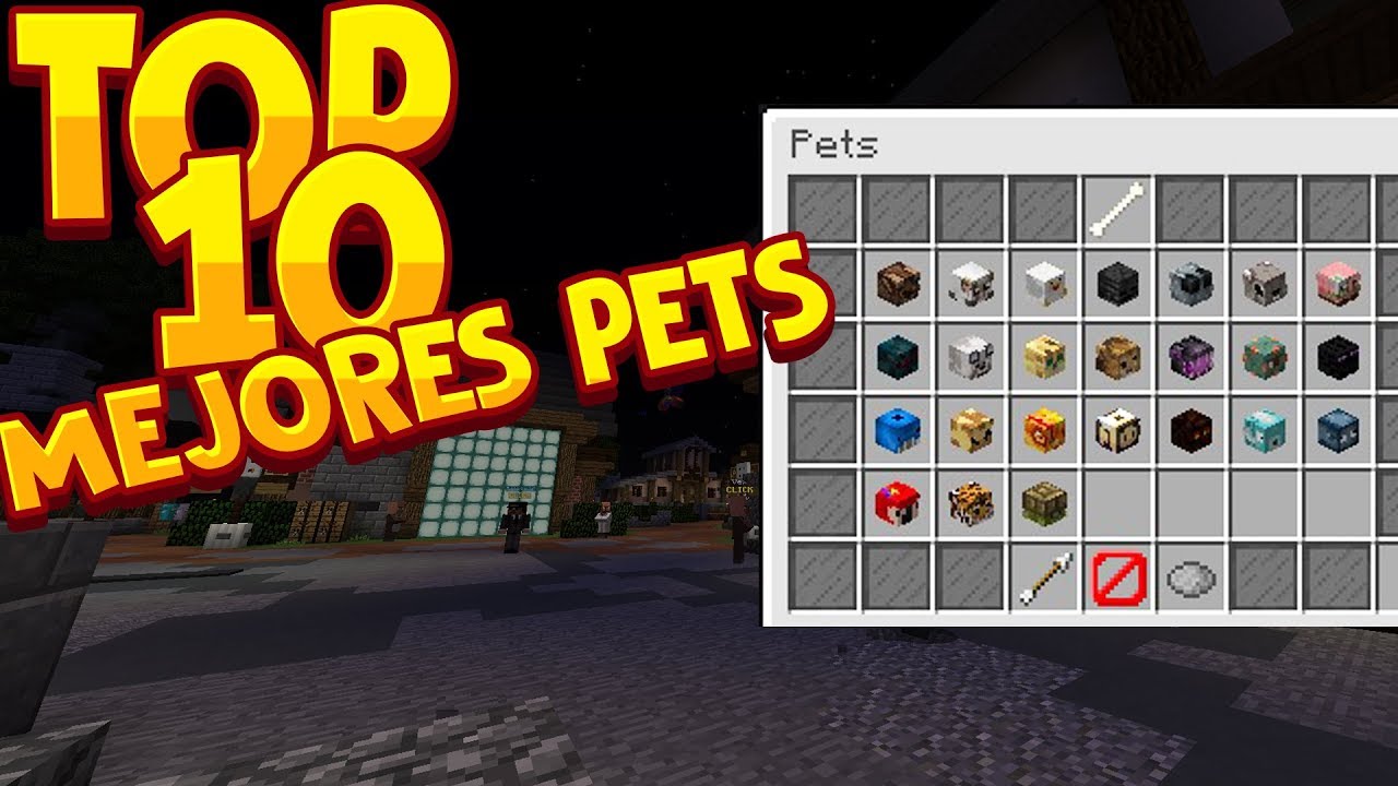 Hypixel Skyblock Ep43, TOP 10 MEJORES PETS - YouTube