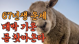 2024년 67년생 58세 양띠 운세 대박의 기운이 찾아옵니다. 고생 많으셨습니다.
