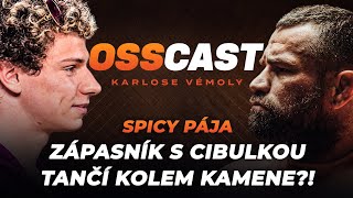 Download Lagu Spicy Prime Pája: BJP, zápasník s cibulkou na hlavě?