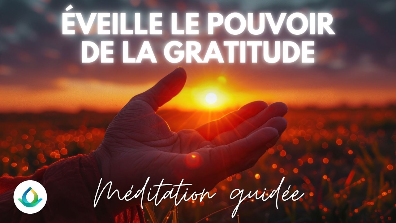 Éveillez en vous le Pouvoir de la Gratitude - YouTube