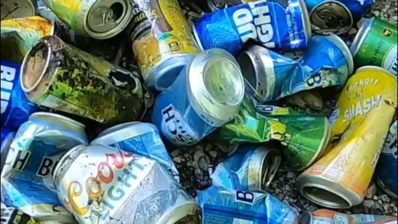 Lee Lake Trash Cleanup Short Version fyp scubadiving YouTube