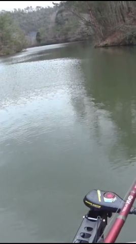 水温8℃でバイト出た。早春スピナベ