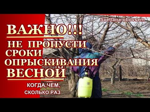 ВЕСЕННЕЕ ОПРЫСКИВАНИЕ- КОГДА,ЧЕМ и СКОЛЬКО РАЗ.. ВАЖНО НЕ ПРОПУСТИТЬ СРОКИ ОБРАБОТКИ....