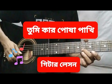 Tumi Kar Posa Pakhi Guitar Lesson | Easy Bangla Guitar Tutorial | Strumming + Chords