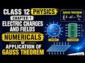 #Class 12 Physics Chapter 1 | Application of Gauss Theorem Numericals | CBSE Board 2026