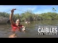 Pescando con trasmallo en el manglar haciendo bulla con rescate y pesca 503