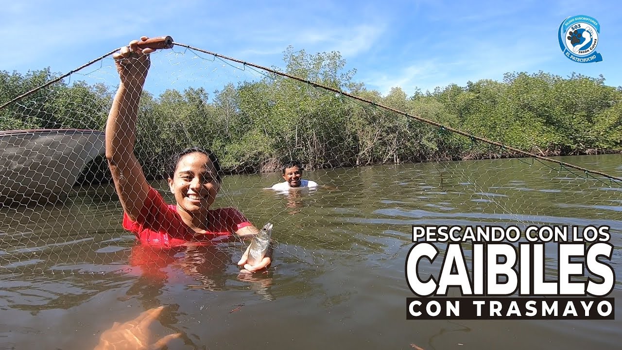 Pescando con trasmallo en el manglar haciendo bulla con rescate y pesca 503  