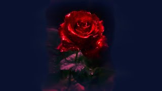 SUPERGRASS ~ MOVING {HQ 24bit V Remaster} w/ a Red Rose on top