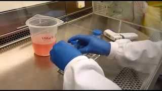 Anti CD3 Training Video 1