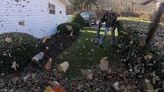 My Favorite type of LEAF CLEANUPS! | PB-8010 In Action! | Fanmail