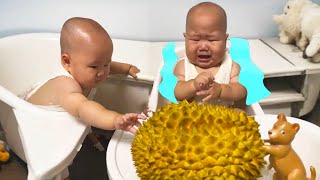 The Elder Brother Cried Because Of The Durian, But The Twin Brothers Wanted To Eat It