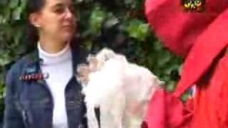 Motel Diablito - Don Munra - Como Llego Al Cubil Felino?