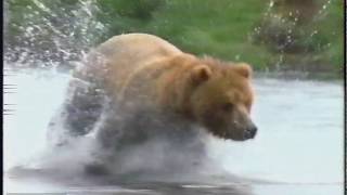 1997 Animal Planet Commercial