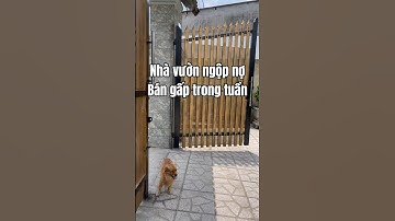 Bán trả nợ cho con, căn nhà vườn gần Biên Hoà #hangbds #nhavuon