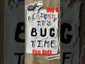 Day 8 Fire Ants! With incredible venom and survival skills fire ants are amazing #bugfacts #wildlife