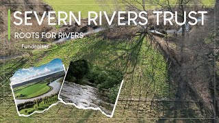 Roots for Rivers: How Tree Planting is Restoring the Severn's Ecosystem