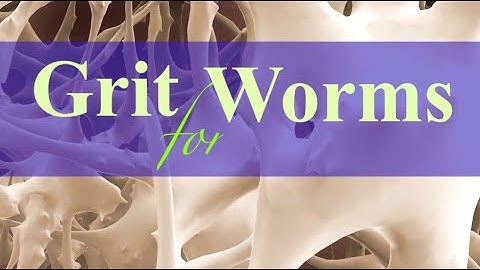 Grit for Worms: Eggshells, Biochar, and Bone Meal