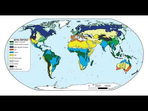 BİYOCOĞRAFYA - 3  (VEJETASYON COĞRAFYASI  -  BİTKİ COĞRAFYASI)   COĞRAFYA VE SOSYAL BİLGİLER ÖABT