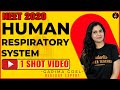 Human Respiratory System One Shot | NEET 2020 Preparation | NEET Biology | Garima Goel