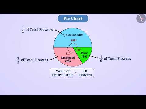 Pie Chart or