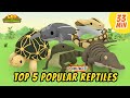 Top 5 des reptiles populaires  histoires danimaux pour les enfants  ducatif  lo le garde forestier