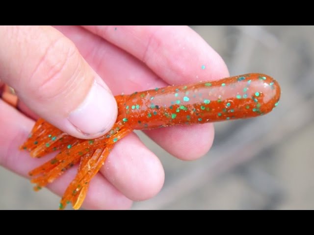 Fish Heavy Cover With The Big Bite Baits Tube 