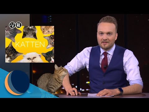 En nou is het afgelopen met katten | De Avondshow met Arjen Lubach (S3)
