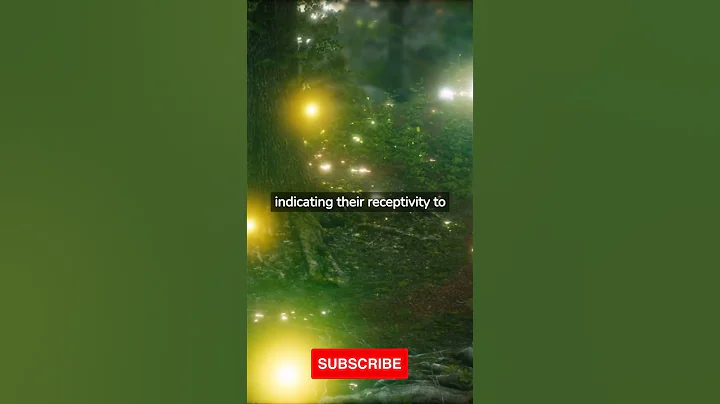 The Spark of Love: Unveiling the Communication and Mating Rituals of Fireflies #shorts