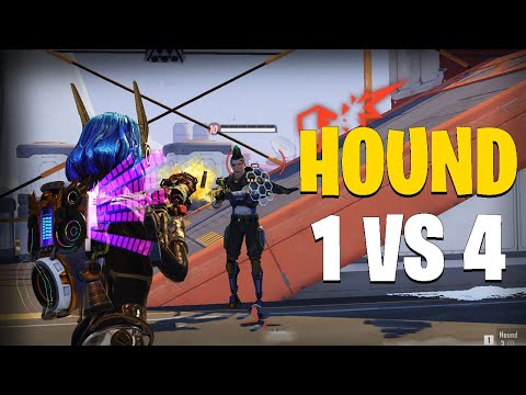 THIS GUN REALLY FITS MAGGIE! " 1 VS 4 HOUND " FARLIGHT84
