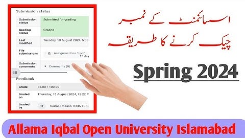 How to check Aiou assignment marks spring 2024