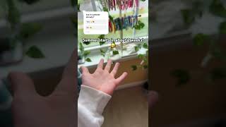 Ahhh Im So Excitedhuge Ib To Short