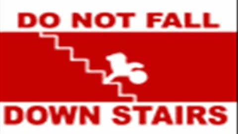 Preguntas estupidas 2