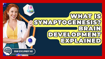What Is Synaptogenesis? Brain Development Explained - Brain Development Hub
