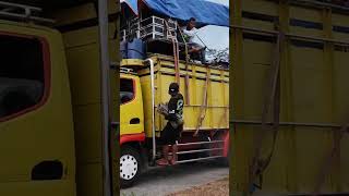 Truk Abd Jumping Saat Berangkat Ke Start Kirab Jolen Arjowilangun