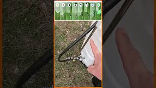 Quick review of the #VEVOR Backpack Sprayer 🌱