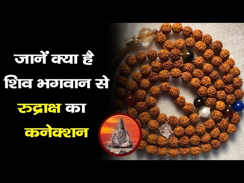 Rudraksha : जानें भगवान शिव से क्या है रुद्राक्ष का संबंध और क्या हैं इसके लाभ?।India News Astro।