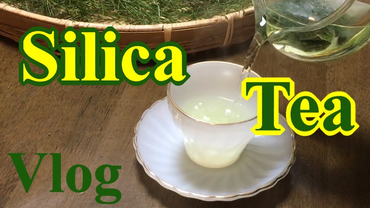 【Japanese Herbal Life】How to make horsetail tea Good for health