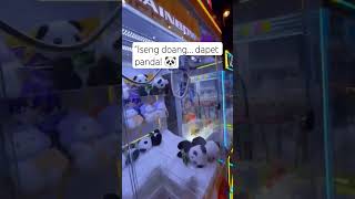 MAIN MESIN CAPIT DAPET BONEKA PANDA #mesincapit #clawmachine #shortsyoutube #youtubeshorts #fyp