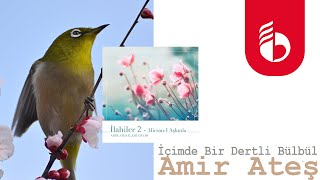 İçimde Bir Dertli Bülbül - Amir Ateş