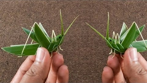 DIY Making | Grasshopper Making From Coconut Leaves Craft | Palm Leaf Craft.